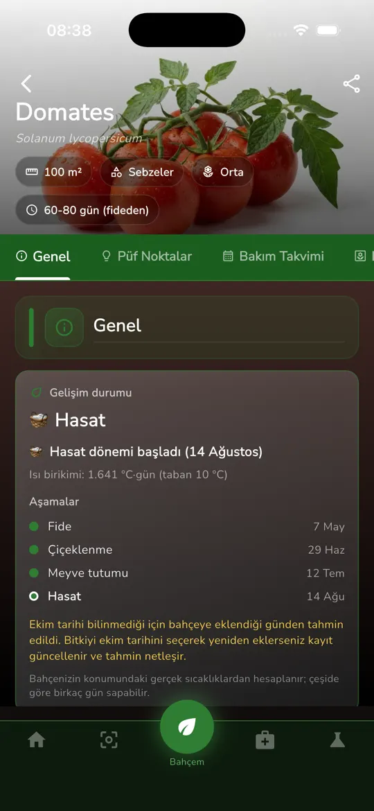 Growth status on the tomato page: seedling, flowering, fruit set and harvest dates